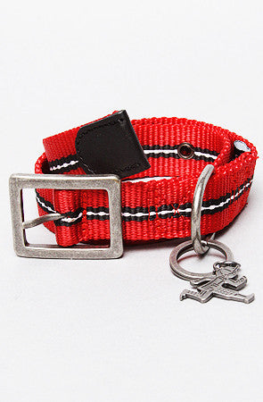 PC Dog Collar **FINAL SALE**
