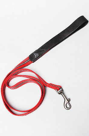 PC Dog Leash   **FINAL SALE**